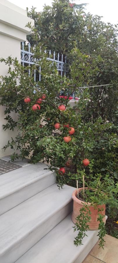 Appartement Dora's With Garden